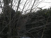 77-80 Meghatározandó